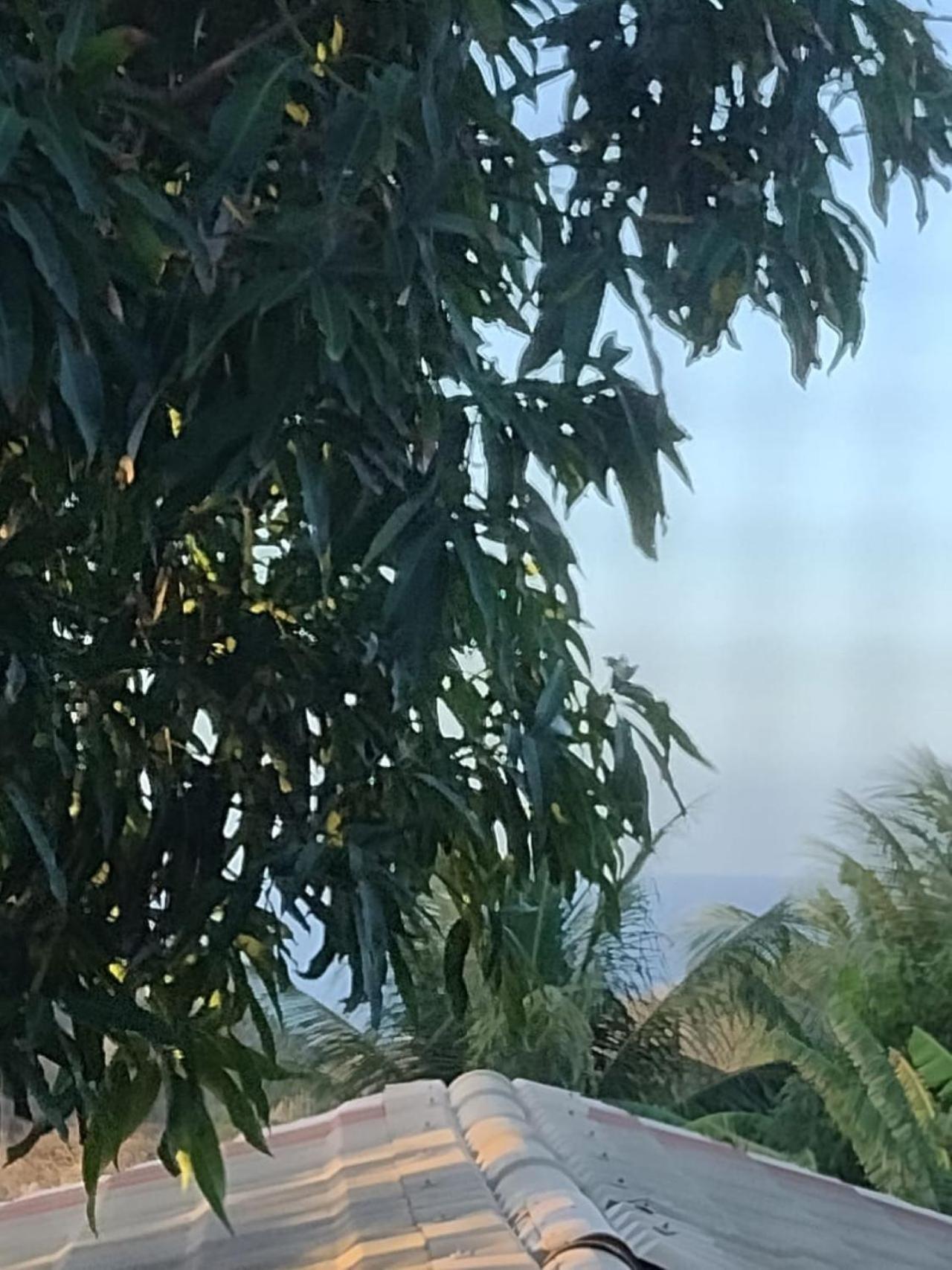 Palhoca Da Colina Guest house